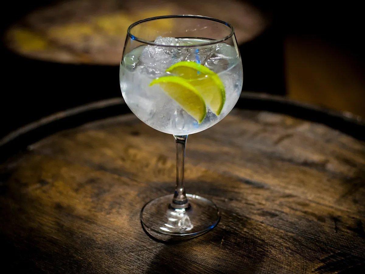 Gin-Tônica Ever’s Beverage
